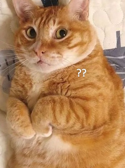 Bất ngờ không nằm trong kế hoạch hôm nay