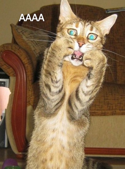 Bất ngờ như lúc mở ví mà thấy tiền