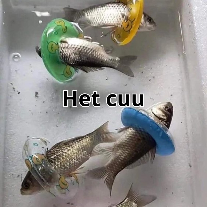 Bệnh nặng quá, hết cứu