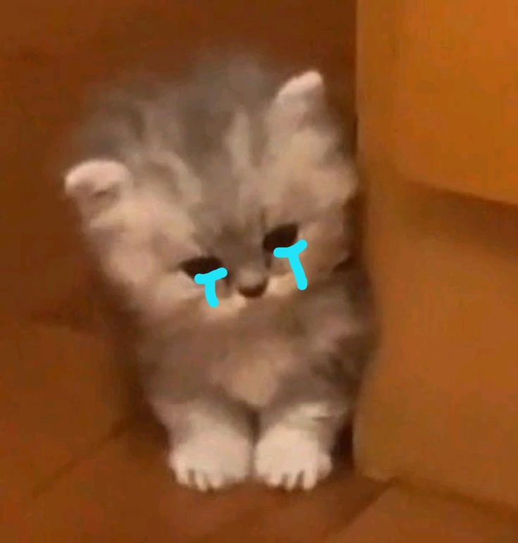 Biết mình có lỗi nhưng dũng cảm… giả vờ không biết