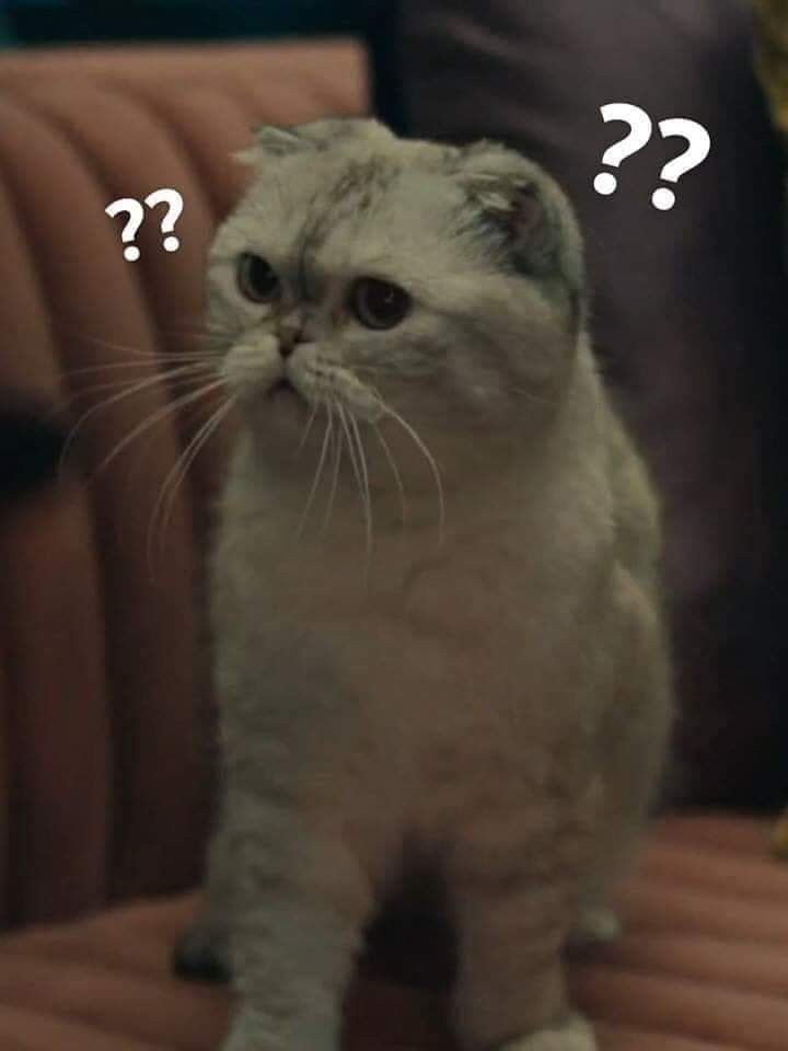 Biểu cảm khó hiểu