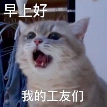 Biểu cảm này chỉ dành cho kẻ phản bội