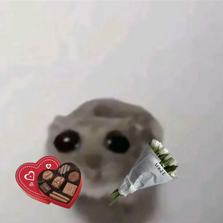 Bộ ảnh chế tặng quà dễ thương