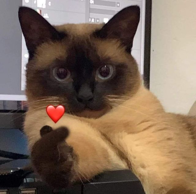 Reaction tim bay sáng tạo