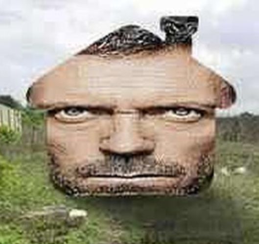 Brainrot meme khiến người dùng thích thú bởi tính hài hước khác biệt
