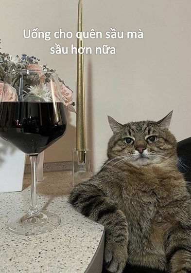 Buồn meme