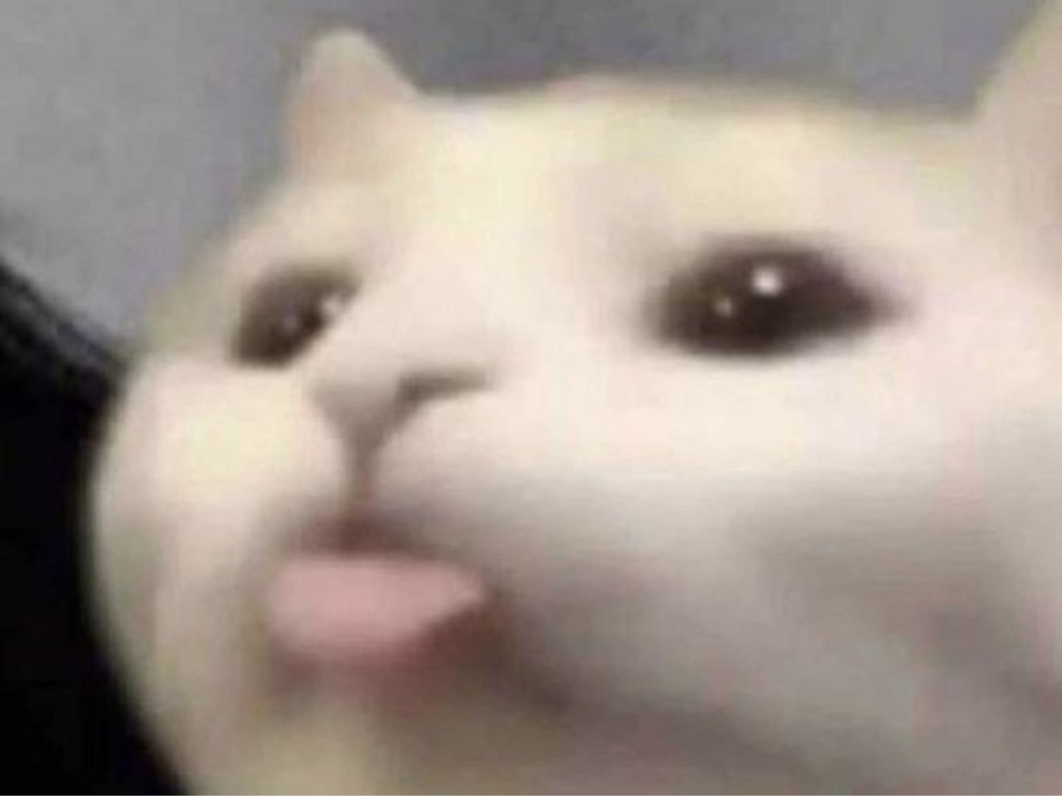 Cả thế giới là của nó, còn mình là người làm