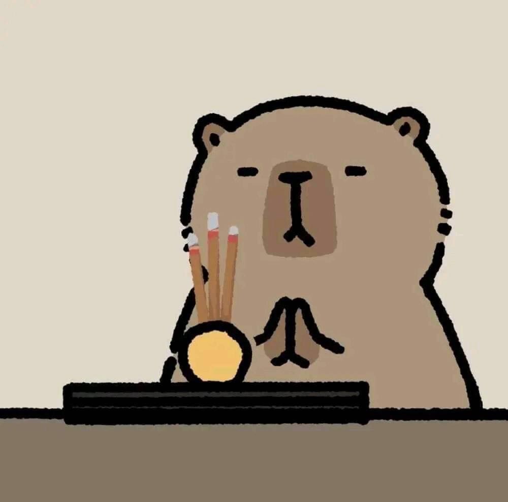Cả thế giới là deadline, capybara là nghỉ lễ