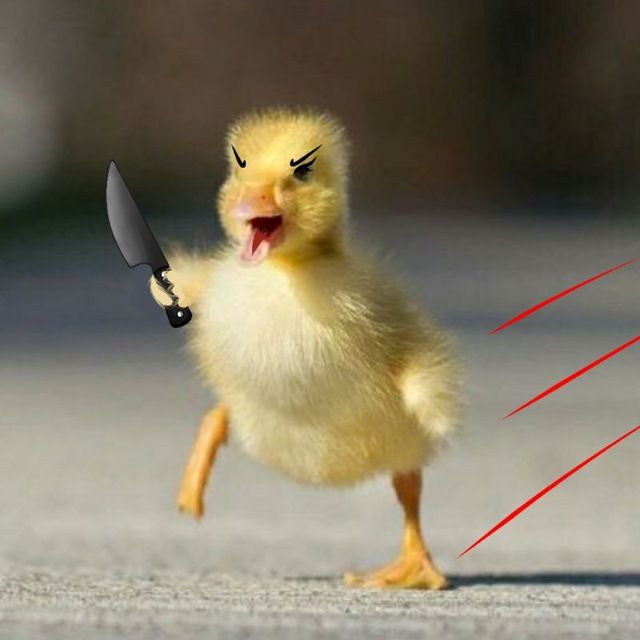 Cầm dao cho có khí chất, không có ý gì