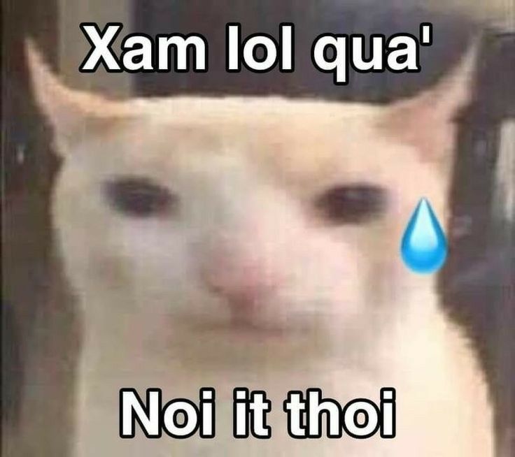 Câm mồm cho lẹ