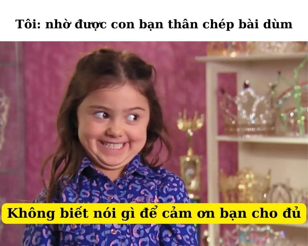 Cảm ơn đã khiến tôi thấy mọi thứ vẫn đẹp