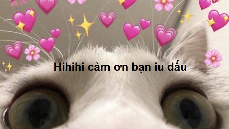 Cảm ơn những người xa lạ đã khiến tôi ấm lòng