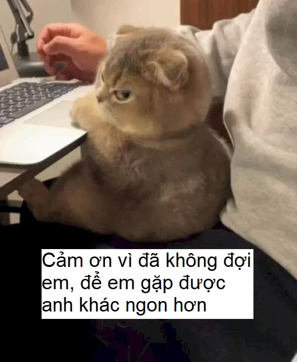 Cảm ơn vì đã không để tôi gục ngã một mình