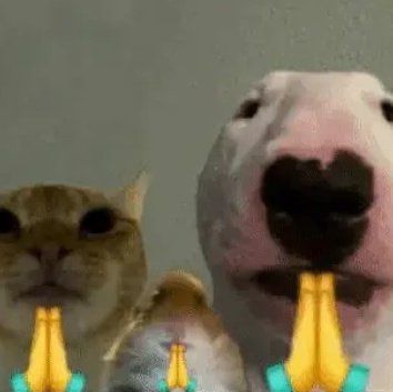 Cảm ơn vì đã không để tôi tự đấu tranh một mình