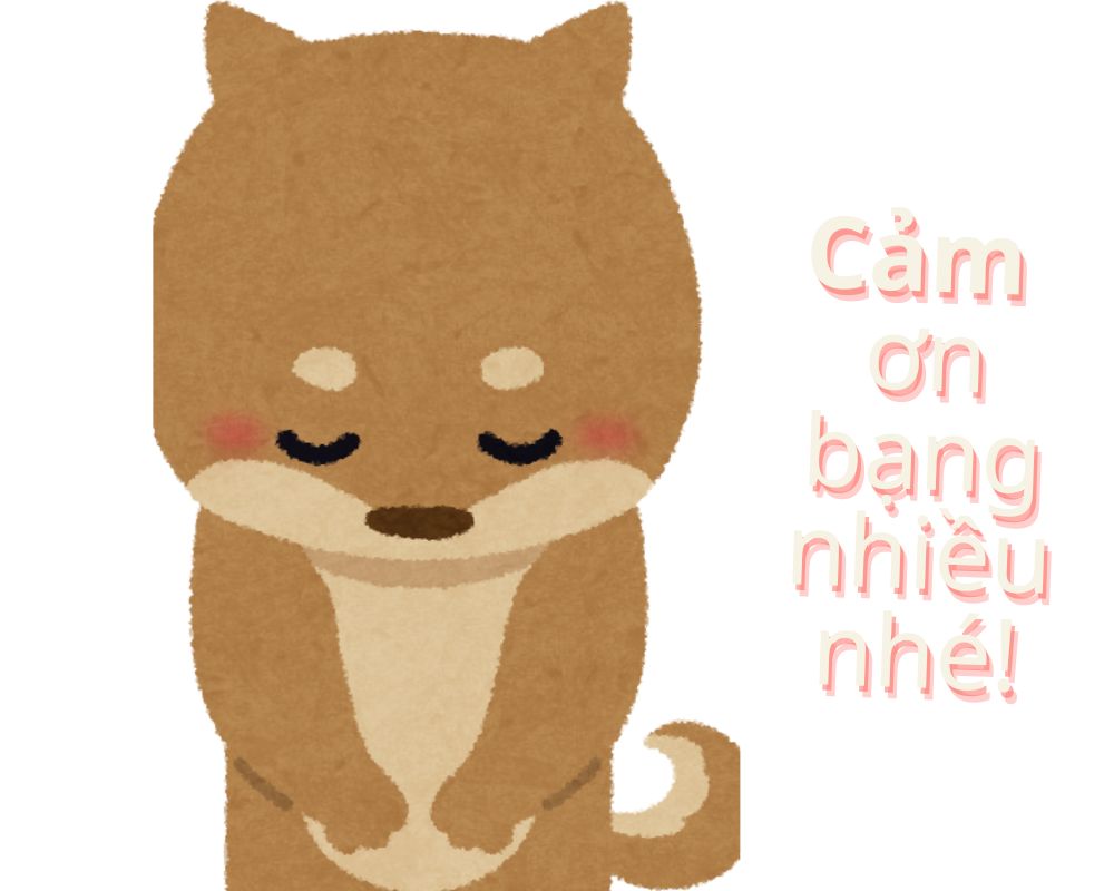Cảm ơn vì đã làm tôi cười vào lúc cần