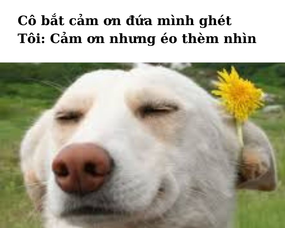 Cảm ơn vì đã làm tôi thấy mình không cô đơn