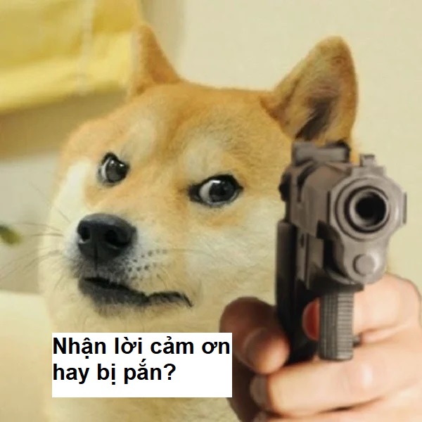 Cảm ơn vì đã xuất hiện một cách rất đẹp