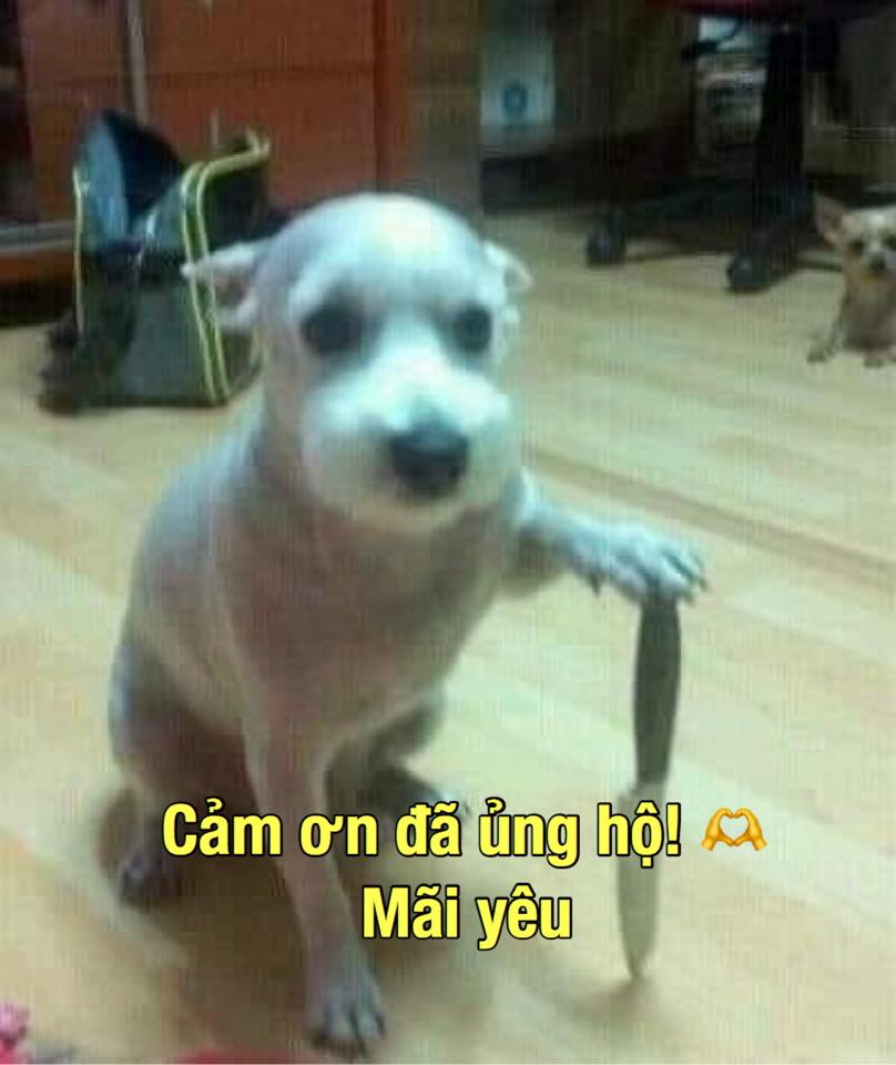 Cảm ơn vì sự tử tế không cần lời giải thích
