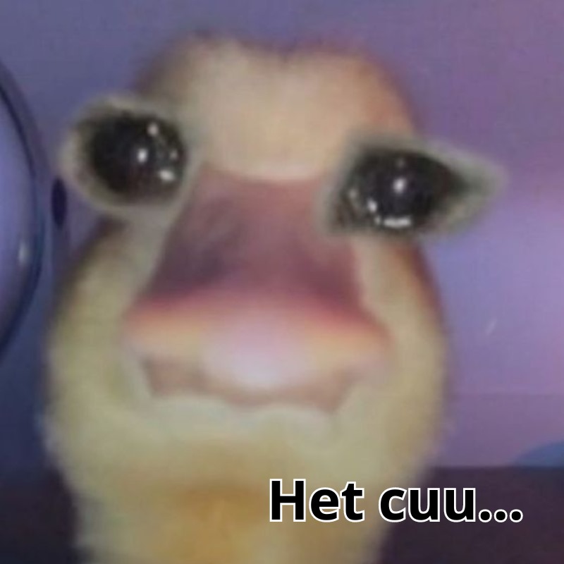Cạn lời luôn á trời