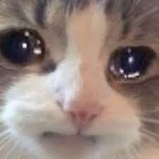 Càng cười to, càng khóc âm thầm
