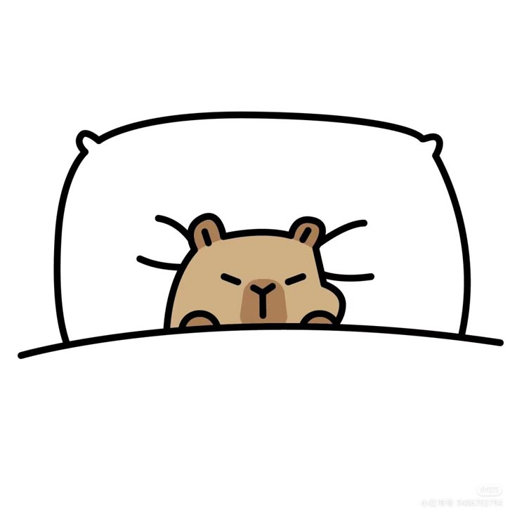 Capybara biết điều gì đến cũng sẽ qua — dù nó không quan tâm