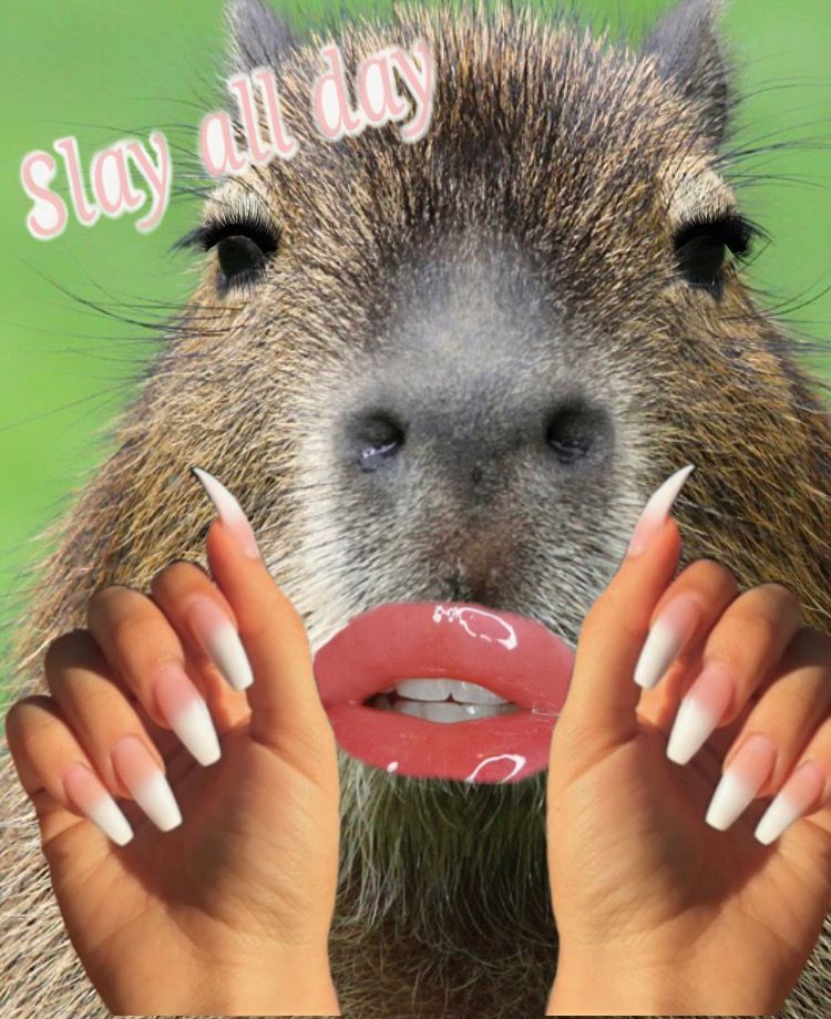 Capybara đã ngưng cố gắng làm vừa lòng ai
