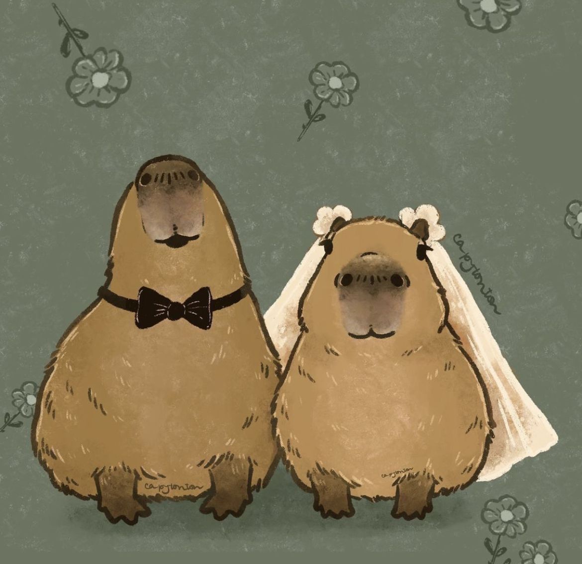 Capybara không chọn cô đơn, nhưng cũng không chống lại
