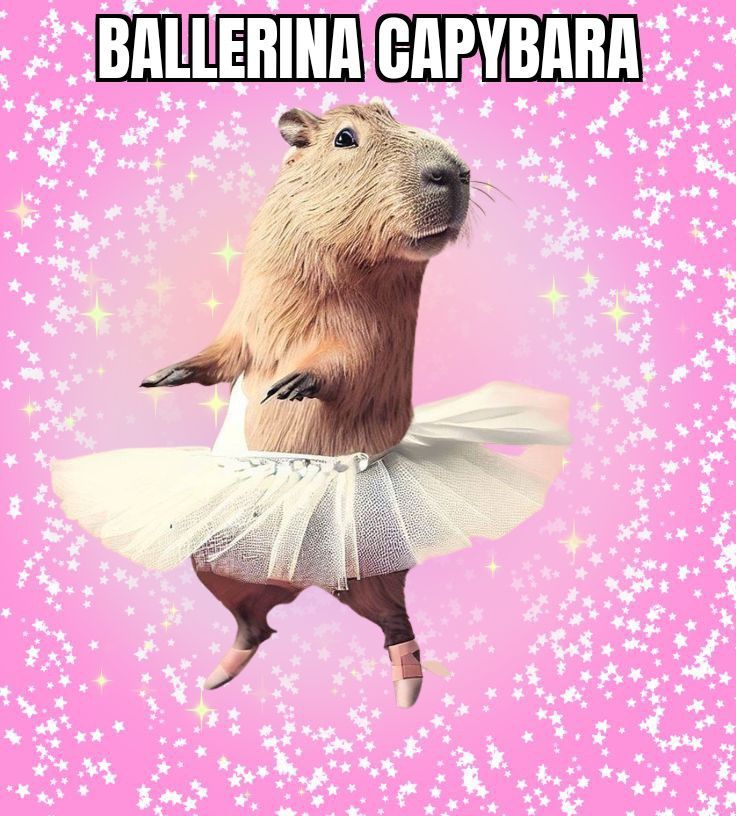 Capybara không ghét thế giới, chỉ không còn quan tâm
