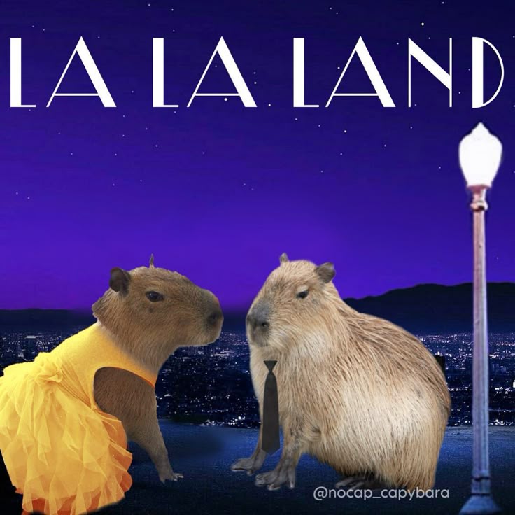 Capybara không nổi loạn, chỉ lặng lẽ không quan tâm