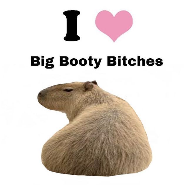 Capybara thấy bình yên trong những ngày không ai gọi