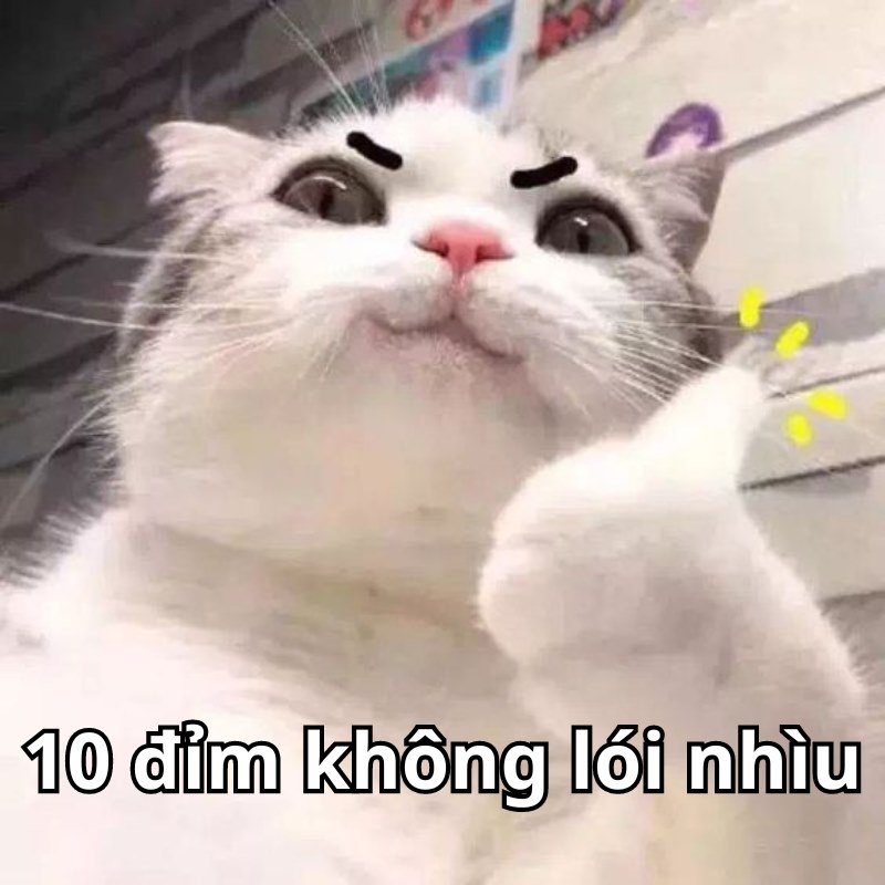 Câu nói viral nhất hôm nay: 10 điểm