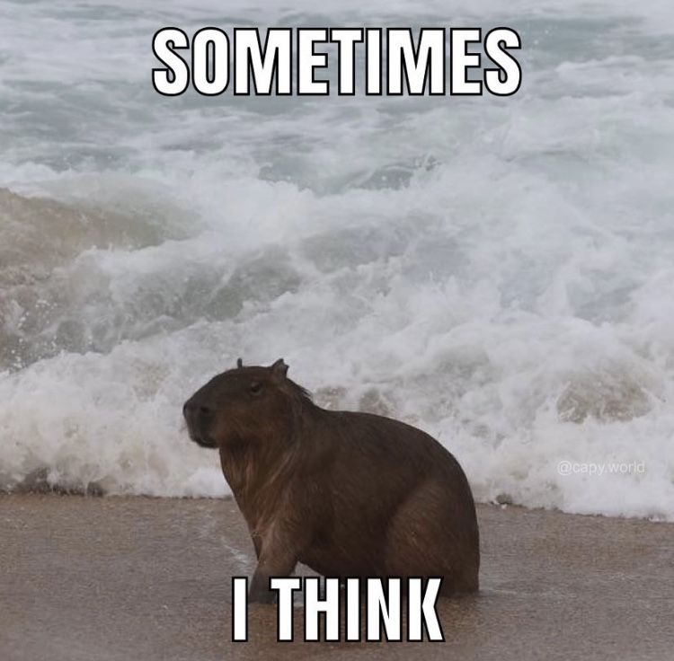 Chẳng cần nói gì, capybara vẫn nổi bật