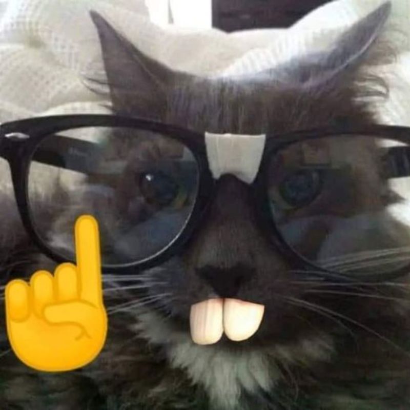 Chảnh vừa thôi, người ta còn có lòng tự trọng