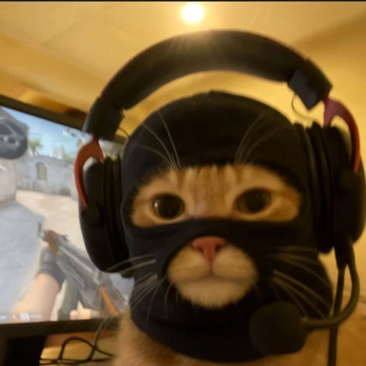 Chat 
