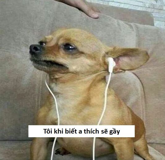 Chế meme sẽ gầy vui nhất