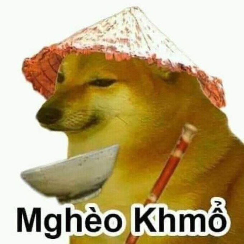 Cheems không sai, chỉ là thế giới chưa hiểu