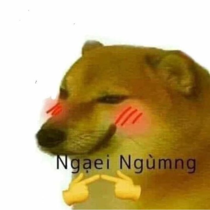 Cheems là tui mỗi lần bị gọi trả bài
