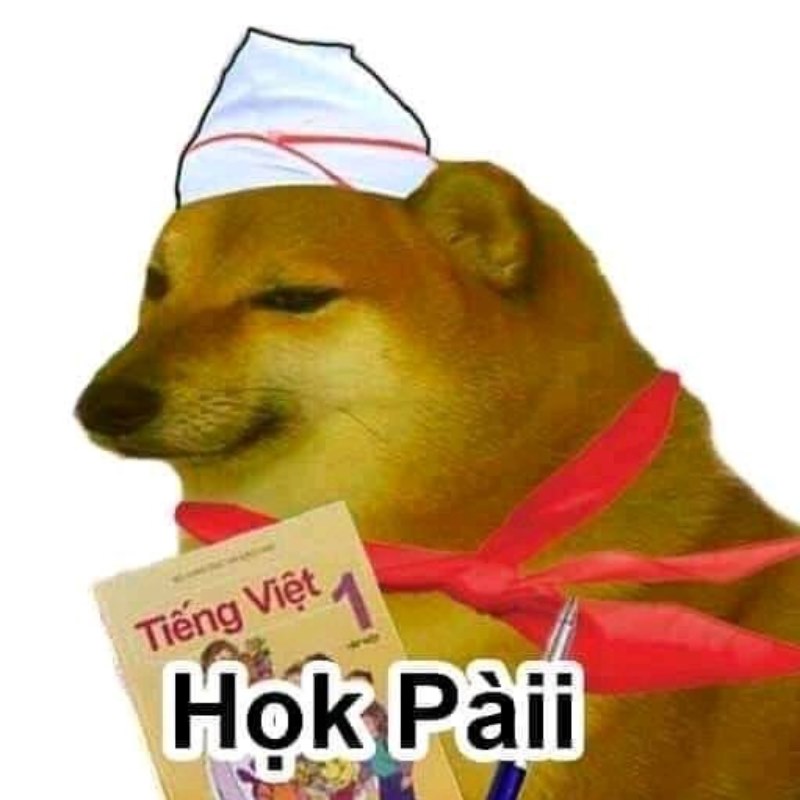 Cheems phiên bản học nhóm: sai nhưng nhiệt tình