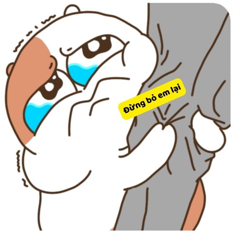 Chỉ cần ai đó hiểu, nhưng không ai hiểu cả