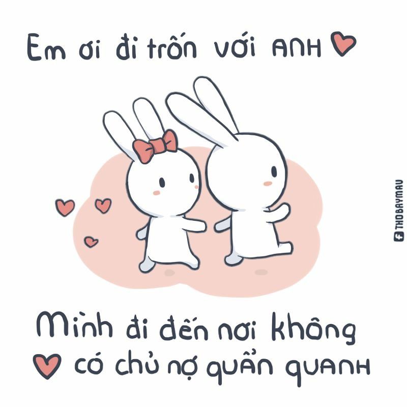 Thỏ đã học cách im lặng sau tất cả