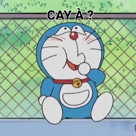 Chỉ cần thấy tai xanh là thấy yên tâm