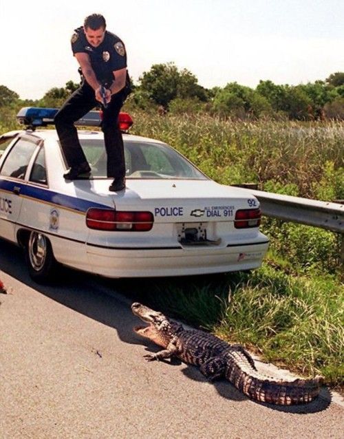 Chỉ hỏi bạn "muốn làm gì sai" là FBI nhảy vào