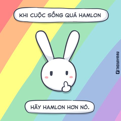 Thỏ ngồi yên, nhưng lòng xoay vòng vòng