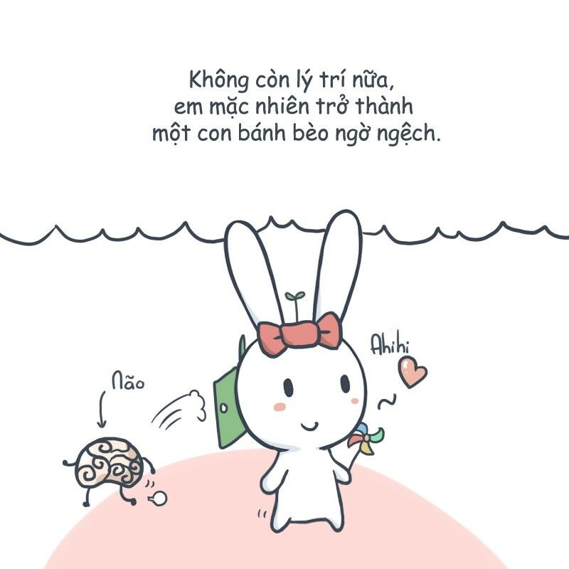 Vẫn là thỏ đó, nhưng không còn vui nữa