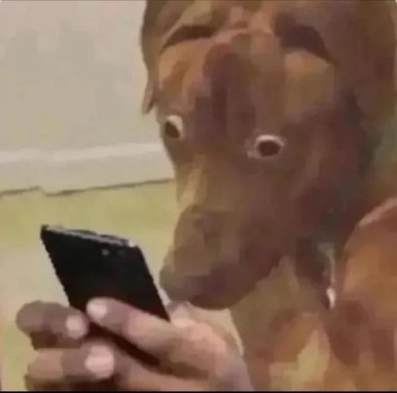 Chỉ vừa định cười thì mọi chuyện xoay chiều