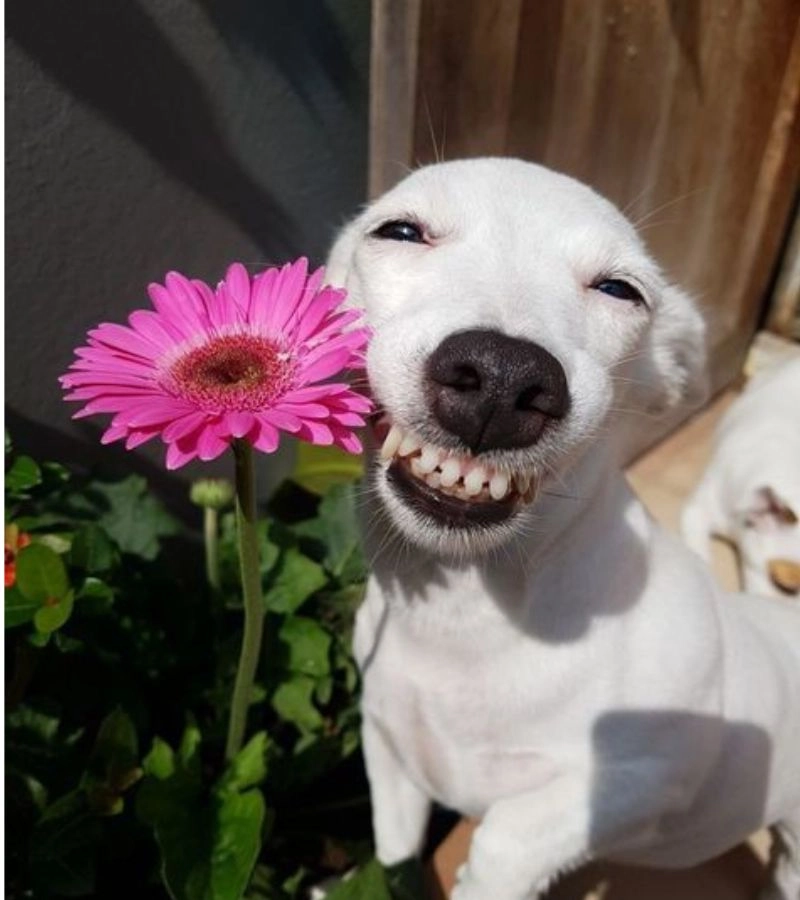 Tải avatar vô tri – Trào lưu ảnh đại diện lạnh lùng, bí ẩn