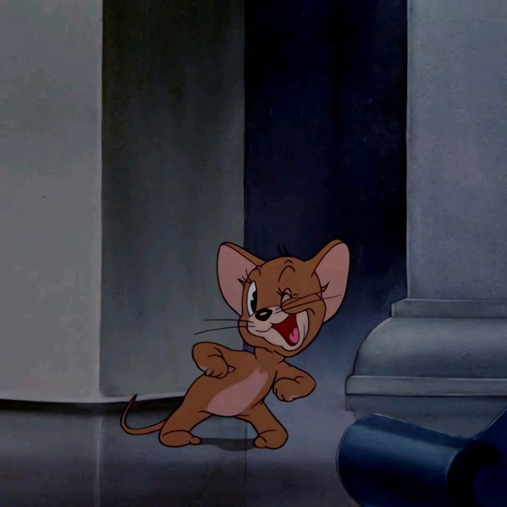 Chúng tôi không ghét nhau, chỉ thích đuổi nhau thôi