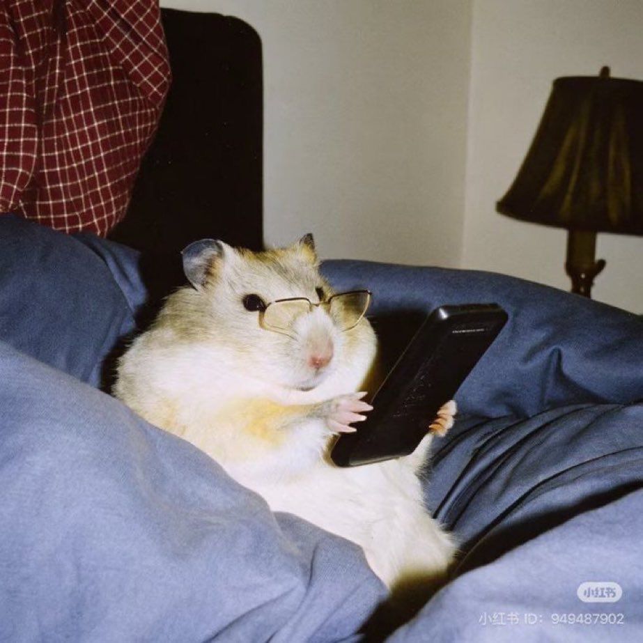 Chuột nhỏ cute góp phần làm group chat thêm nhiều tiếng cười