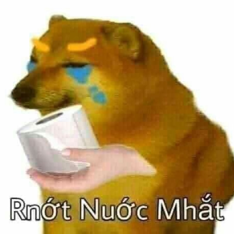 Có ai cheems nhẹ mỗi sáng như tui không?