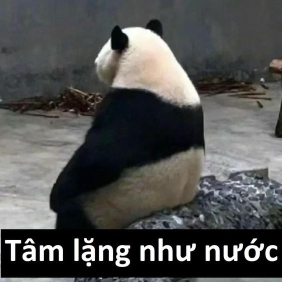 Có ai hiền như tui mà hay lườm vậy không?